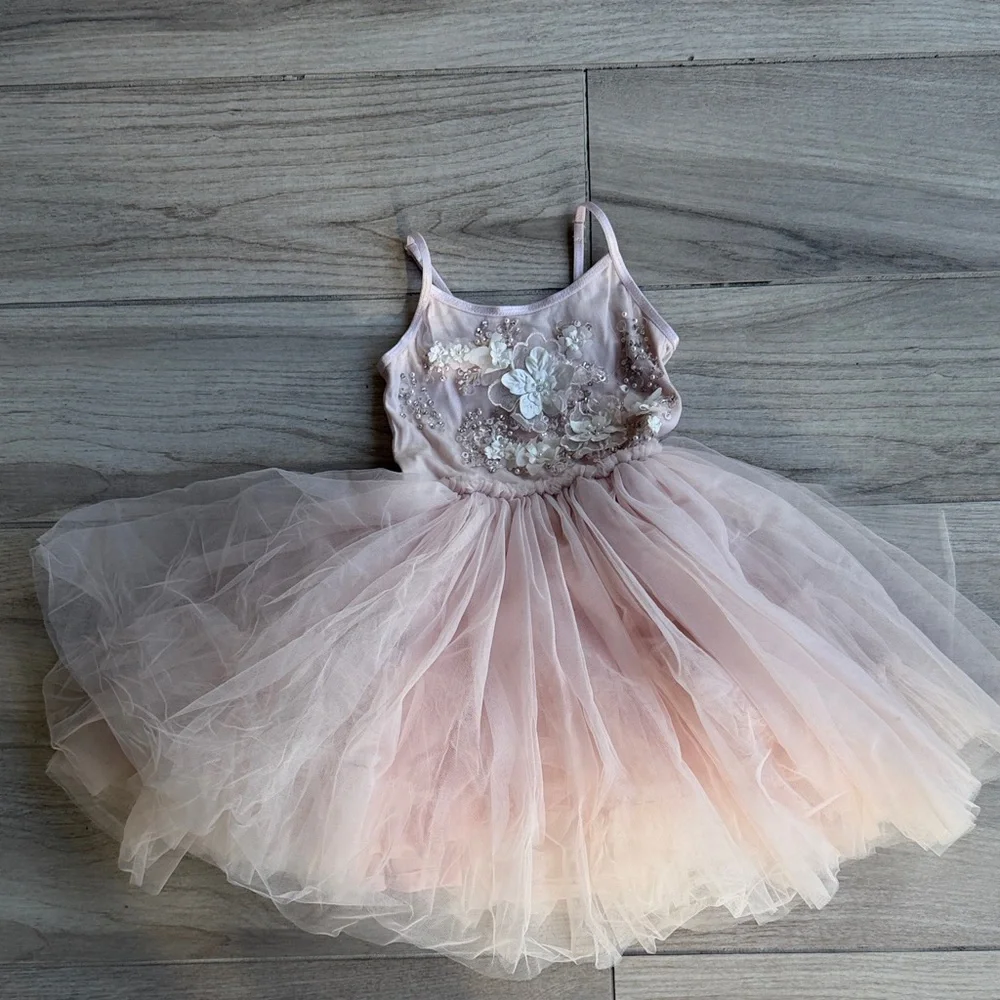 Tutu Du Monde Blush Pink Dress - Picture 1 of 5